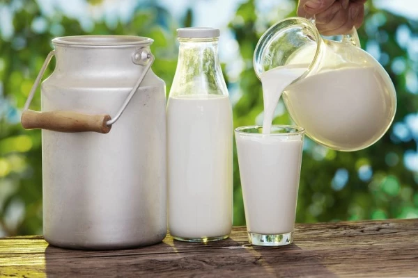 Price of Whole Fresh Milk in Qatar Drops Slightly to $1,353 per Ton
